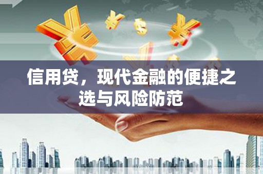 台东信用贷，现代金融的便捷之选与风险防范