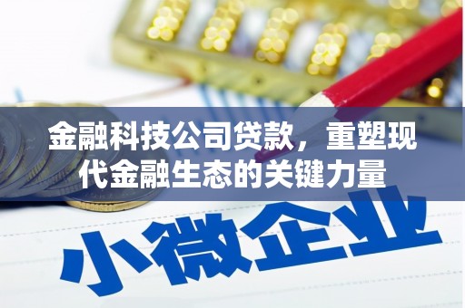 台东金融科技公司贷款，重塑现代金融生态的关键力量