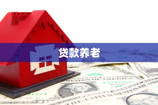 台东贷款养老