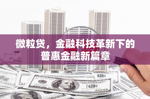 台东微粒贷，金融科技革新下的普惠金融新篇章