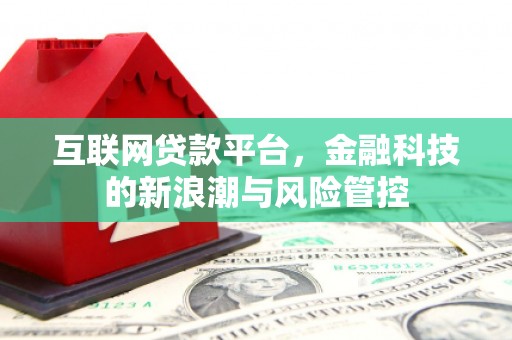 台东互联网贷款平台，金融科技的新浪潮与风险管控