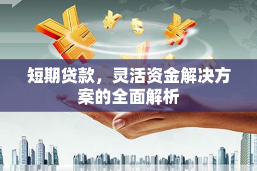 台东短期贷款，灵活资金解决方案的全面解析