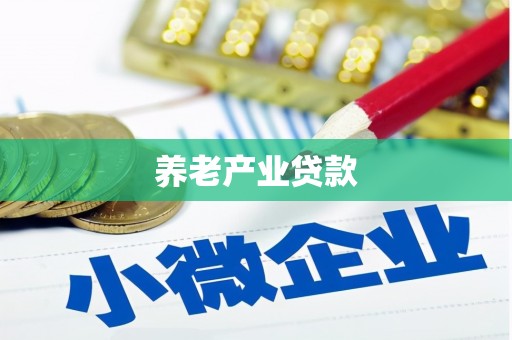 台东养老产业贷款