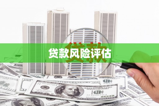 台东贷款风险评估
