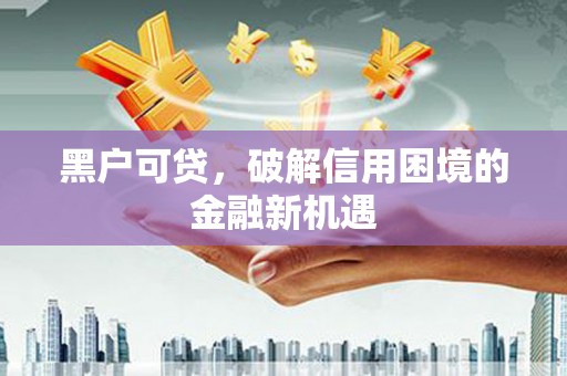 台东黑户可贷，破解信用困境的金融新机遇