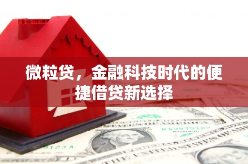 台东微粒贷，金融科技时代的便捷借贷新选择