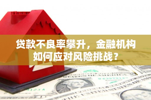 台东贷款不良率攀升，金融机构如何应对风险挑战？
