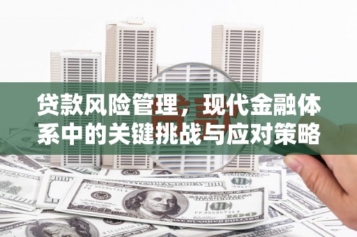 台东贷款风险管理，现代金融体系中的关键挑战与应对策略