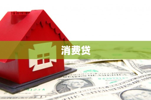 台东消费贷