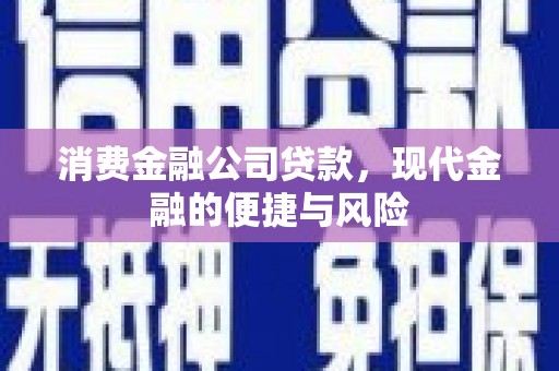 台东消费金融公司贷款，现代金融的便捷与风险