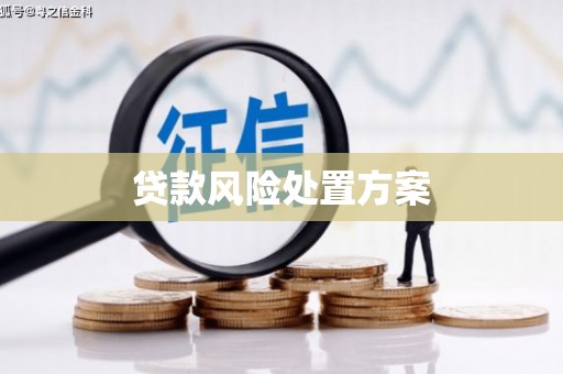 台东贷款风险处置方案