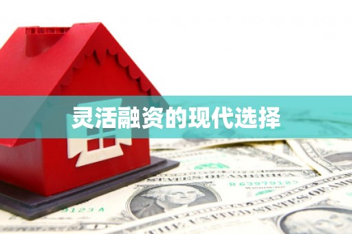 台东灵活融资的现代选择
