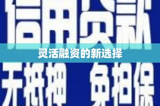 台东灵活融资的新选择