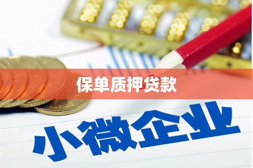台东保单质押贷款