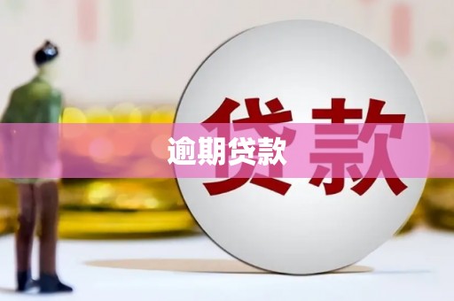台东逾期贷款