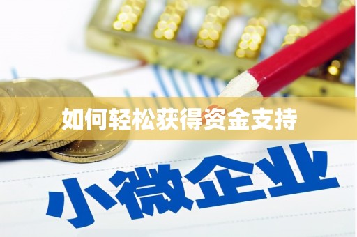 台东如何轻松获得资金支持