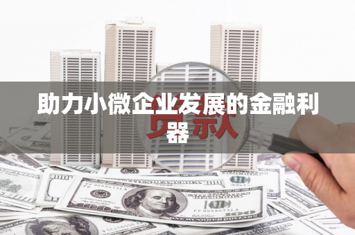 台东助力小微企业发展的金融利器