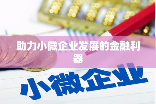 台东助力小微企业发展的金融利器