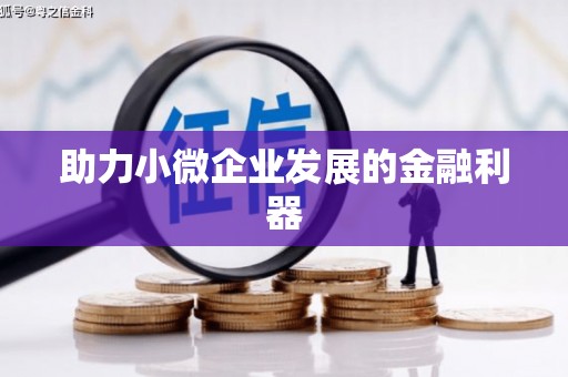 台东助力小微企业发展的金融利器