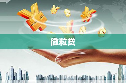台东微粒贷