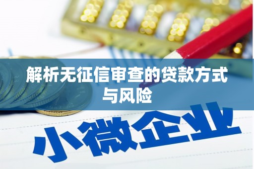 台东解析无征信审查的贷款方式与风险