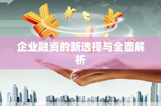台东企业融资的新选择与全面解析