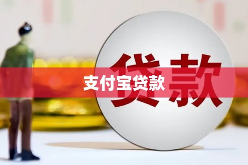 台东支付宝贷款