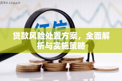 台东贷款风险处置方案，全面解析与实施策略