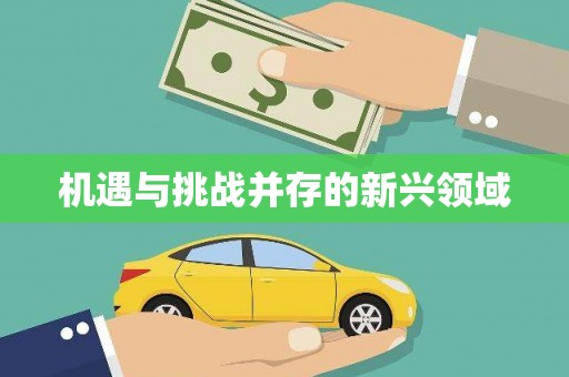 台东机遇与挑战并存的新兴领域