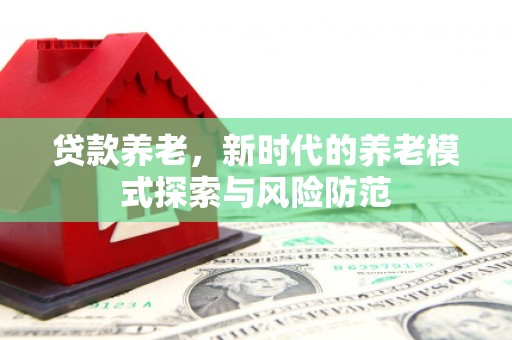 台东贷款养老，新时代的养老模式探索与风险防范