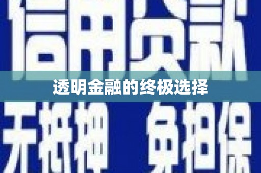 台东透明金融的终极选择