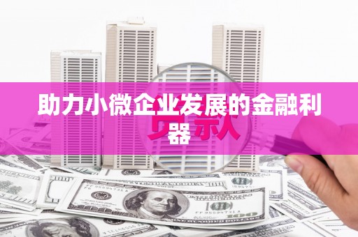 台东助力小微企业发展的金融利器