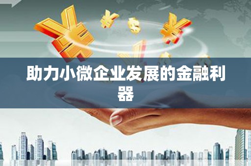 台东助力小微企业发展的金融利器