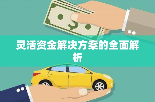 台东灵活资金解决方案的全面解析