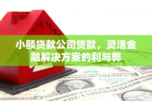 台东小额贷款公司贷款，灵活金融解决方案的利与弊